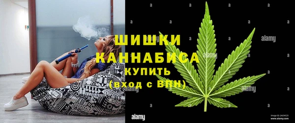 винт Дмитров