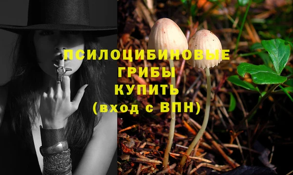 спайс Дмитриев
