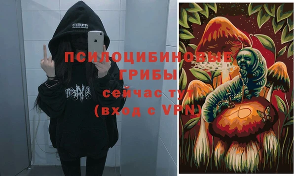 таблы Дмитровск