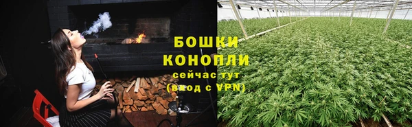 спайс Дмитриев