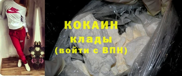 спайс Дмитриев