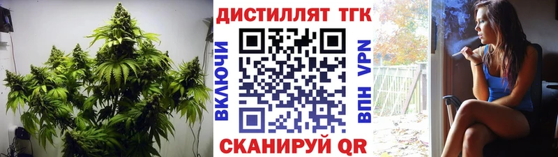 ТГК Wax  Купить  Видное 